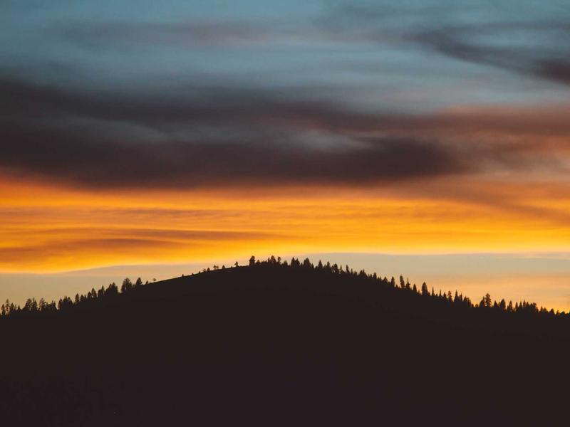霍乱时期的爱情<br>qyh4jna.cn 五十三年船票